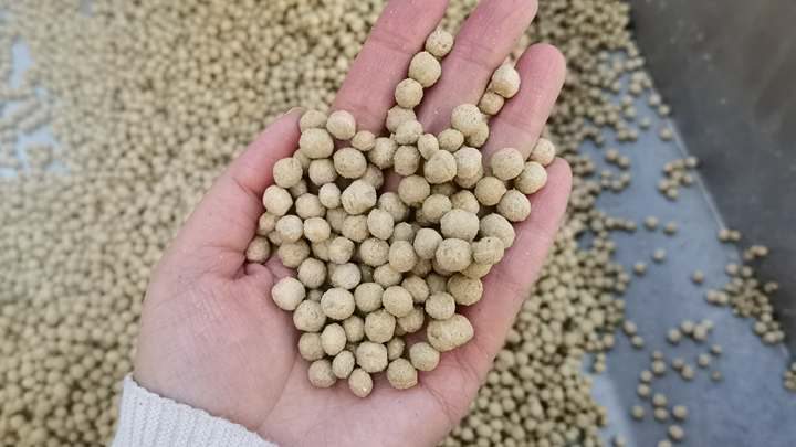 <h3>dry type Trout feed pelletizer machine in Ghana-Feed Pellets Mill</h3>

