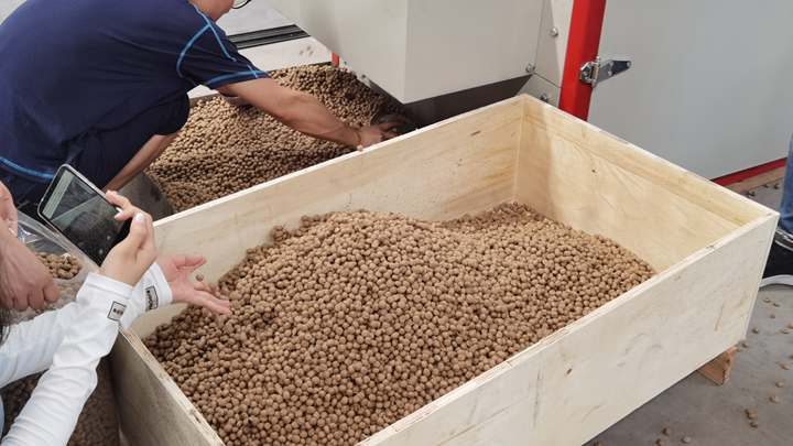 <h3>Twin-screw extruders outperform simpler single-screw machines</h3>
